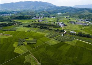媒体看会东｜【经济日报】绘就姜州“和美乡村美丽画卷”